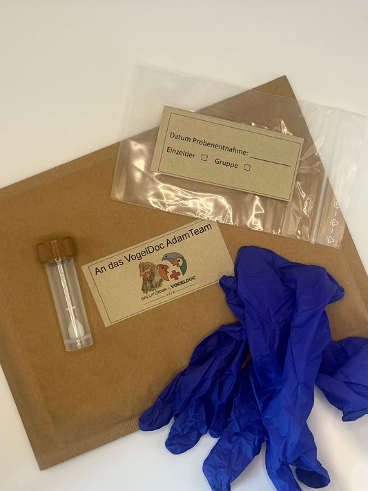 Kotprobenuntersuchung