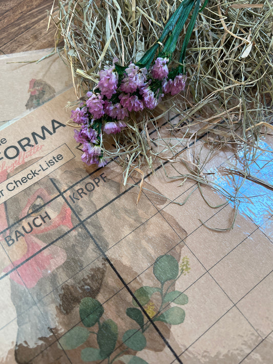 Hühner Check- Liste