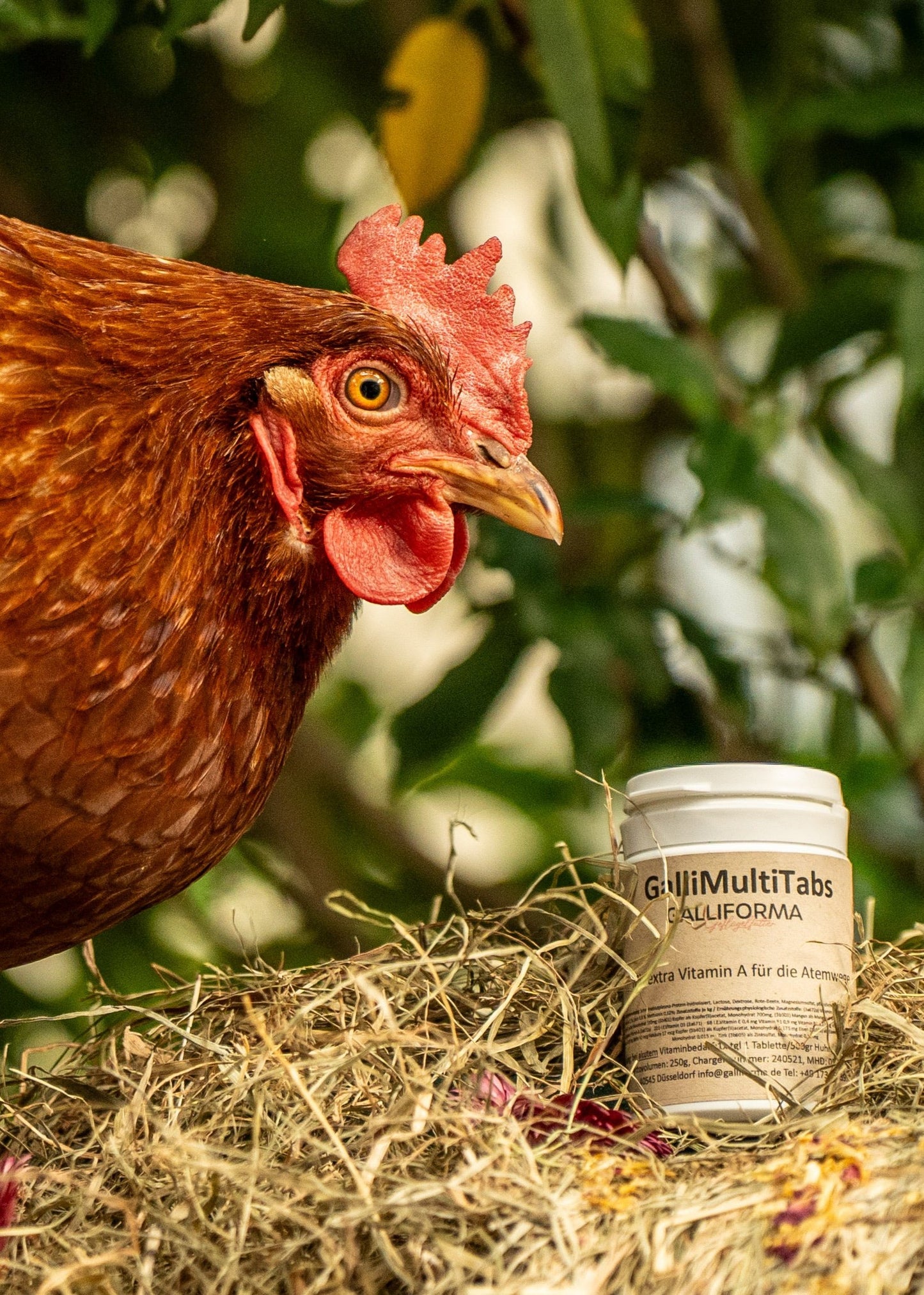 GalliMultiTabs mit extra Vitamin A