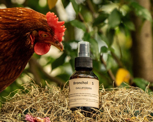 Bronchol S 100 ml für den Stall (Spray)