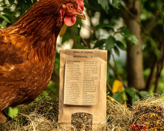 BroncholT 150 gr (Tee)