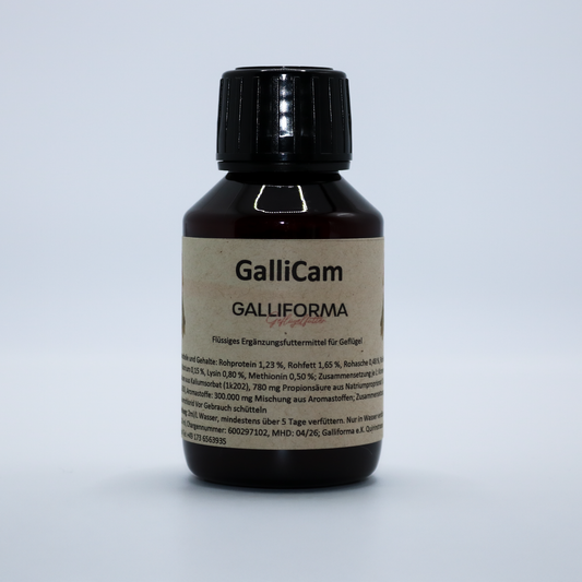 GalliCam- für mehr Bewegungsfreude