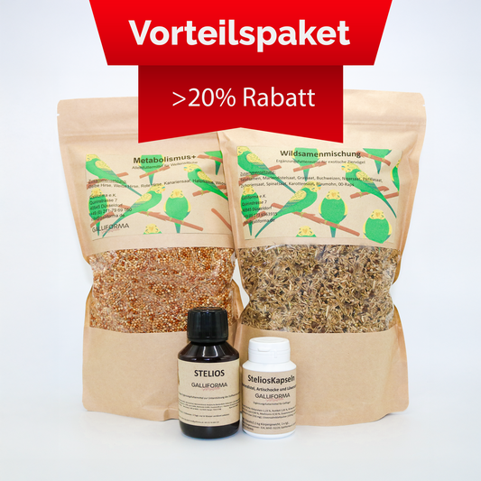 Wellensittich-Paket